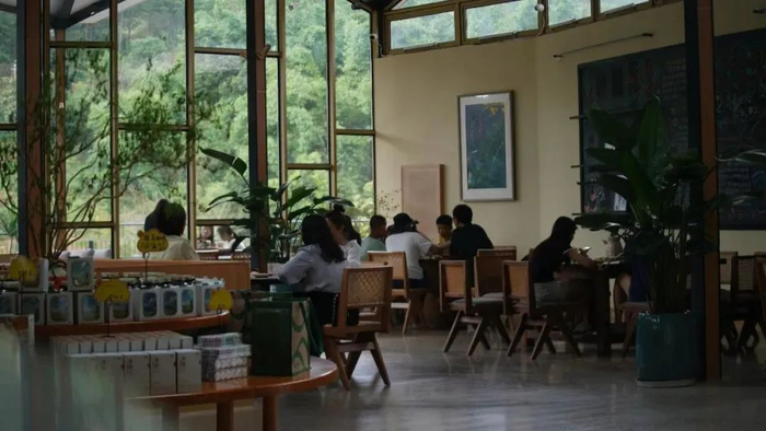 图源：“茶城思茅”微信公众号