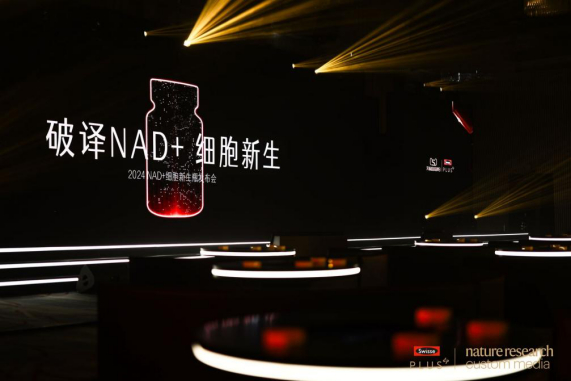 （发布会开场前）