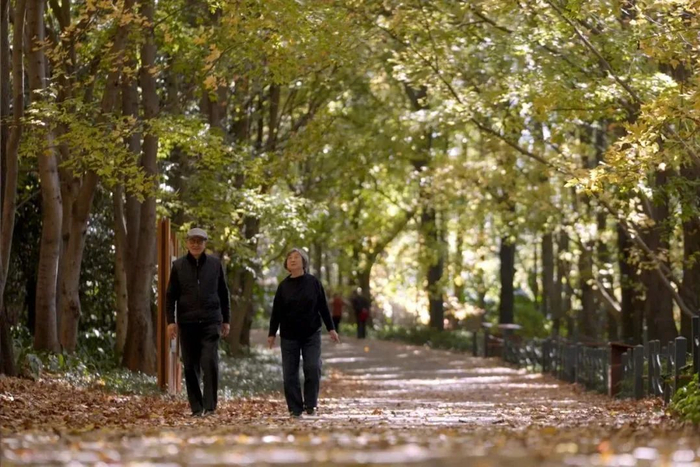 曾孝濂和张赞英/图源：一条