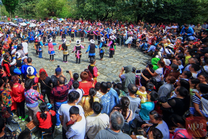 当地每年的环山鸡节会吸引大量游客和科研团队。黄刚 摄