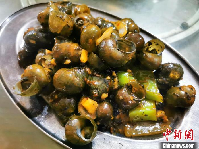 9月15日，广东台山，紫苏叶炒田螺，是当地人中秋赏月时的专属味道之一。李晓春 　摄