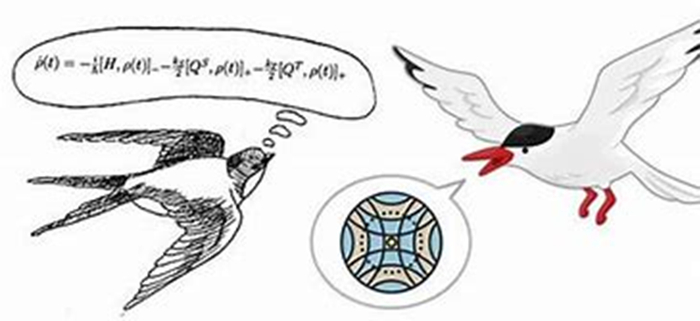 图十：生物利用地磁导航