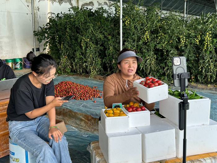 次仁曲珍正在直播。琅珍 摄