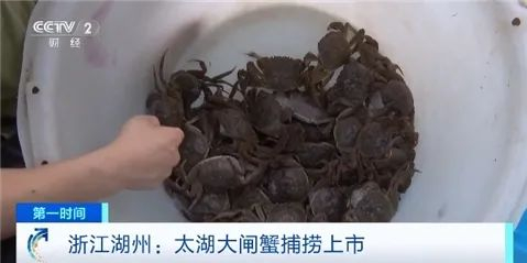 图源：央视财经