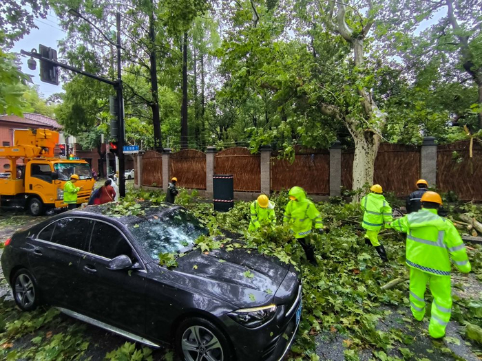   9月16日，在上海市徐汇区岳阳路上，徐汇市政养护工作人员在紧急清理刮断的树枝。新华社记者王翔摄