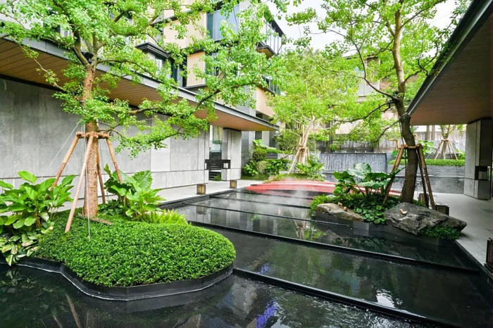 | 溪谷澄境 实拍 |