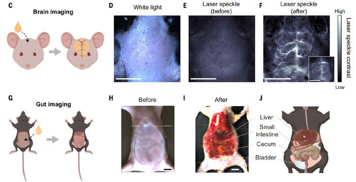 柠檬黄的光穿透效果