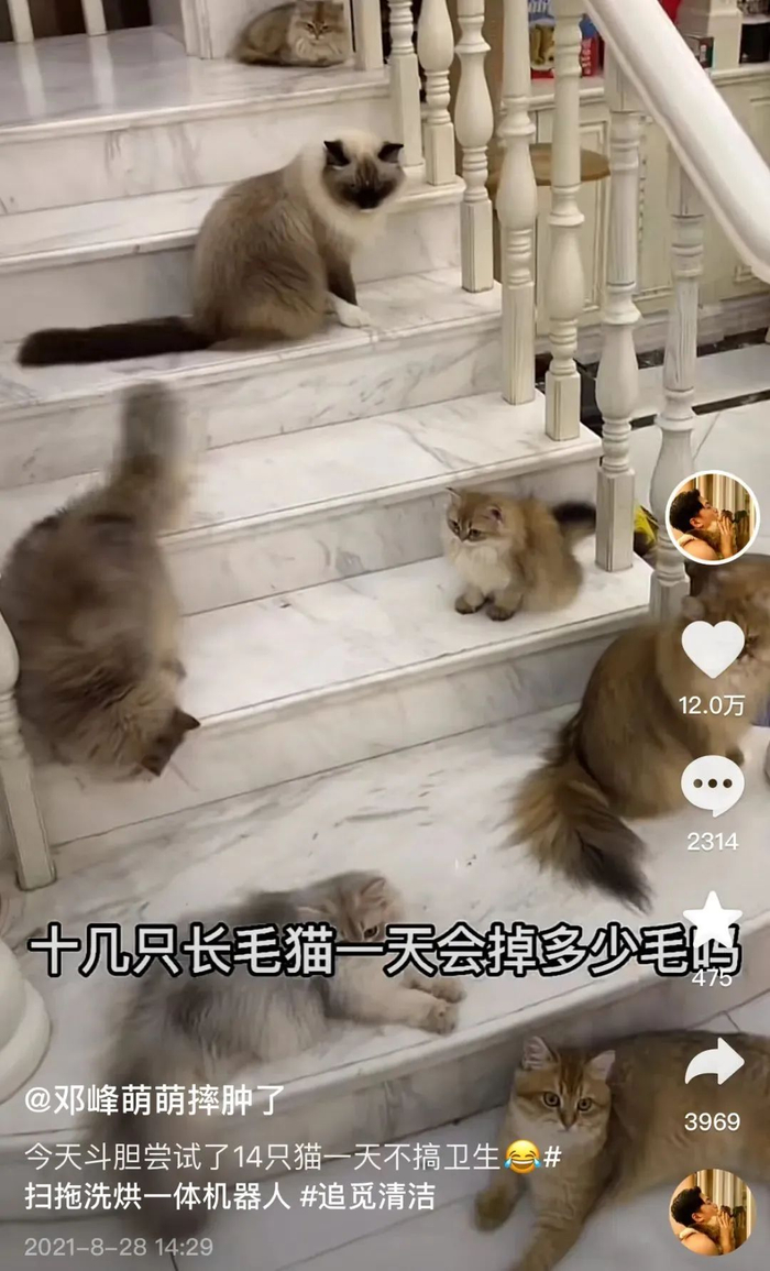 图源：抖音@邓峰萌萌摔肿了