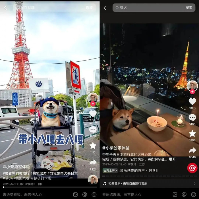 图源：抖音@小柴独家体验
