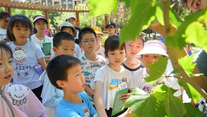 图2社区孩子们聆听志愿者老师讲解植物知识