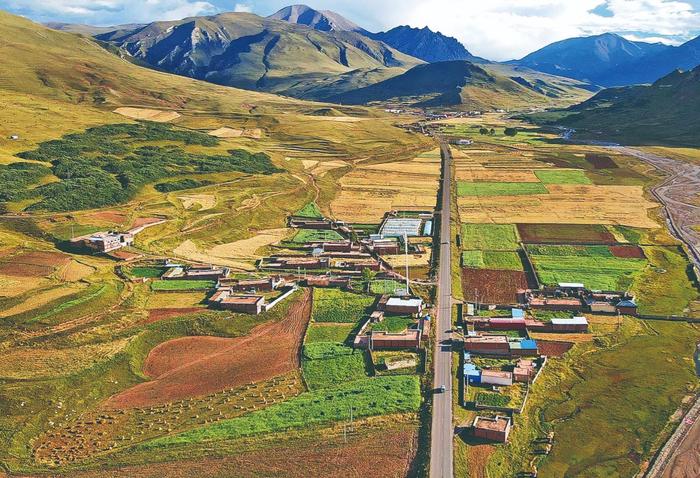 入秋后囊谦变成五彩斑斓。程宦宁 余晖 摄 