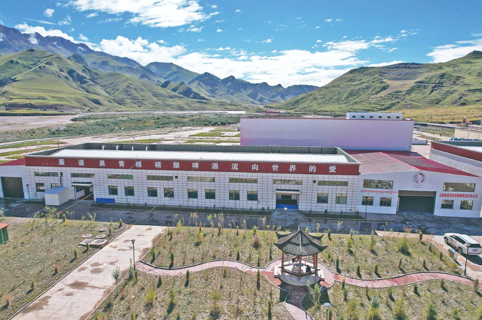 产业品牌化，助力乡村振兴高质量发展。程宦宁 余晖 摄 