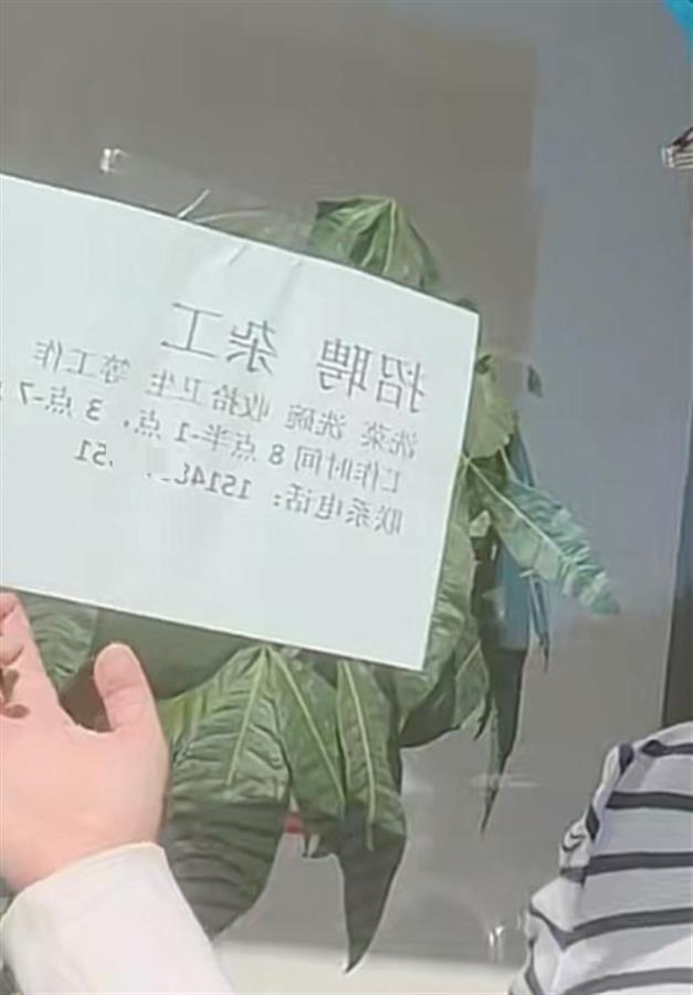 玻璃窗上的照片信息 （图片来源：网络）