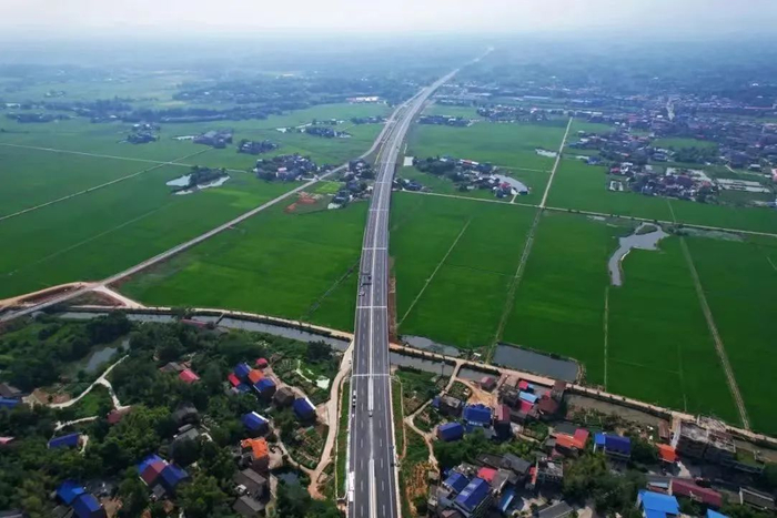 ▲白果大桥，稻花香里说丰年，一路生花。