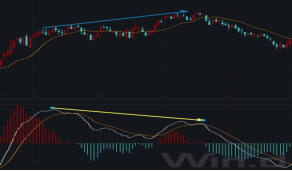 数据来源：Wind 财达证券