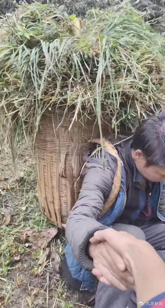 上拉如干活 图/视频截图