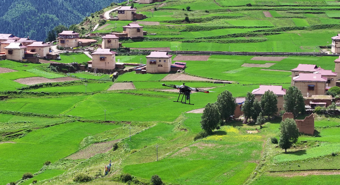 林草防火巡检场景