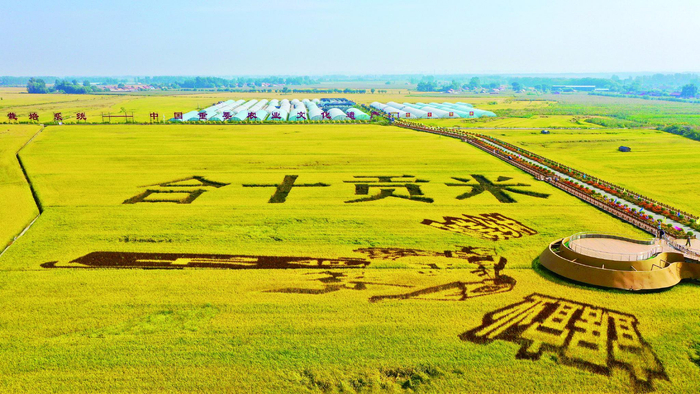 （长春市委网信办供图）
