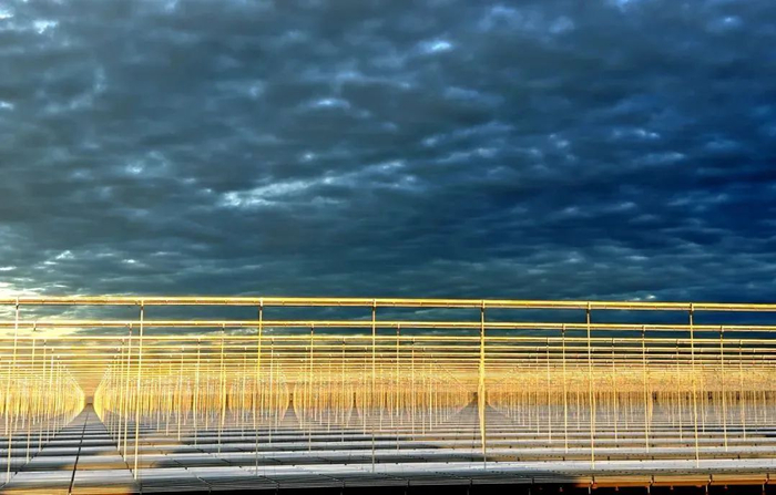 图源：人民日报客户端