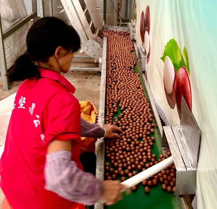 图源：阳春微报