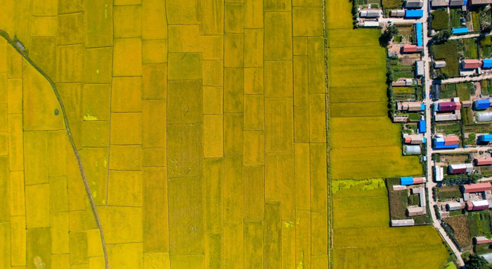 （长春市委网信办供图）