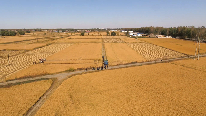 （东北新闻网 供图）