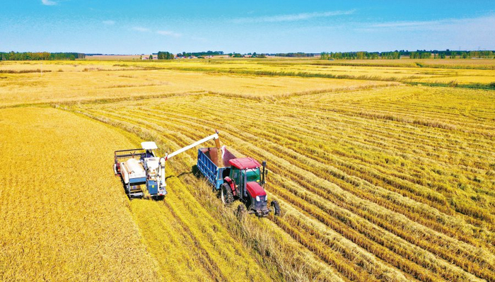 （长春市委网信办供图）