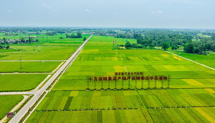 （摄影：顾志平）