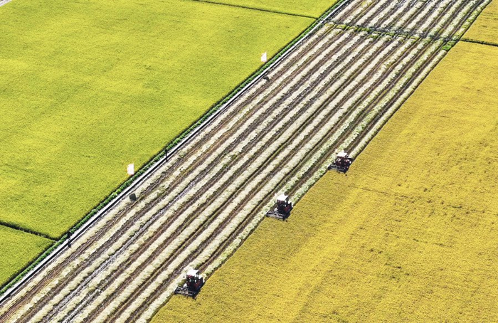 （摄影：许春娟 李伟华 魏秀杰）