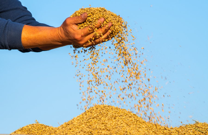 （图片来源：图虫创意）