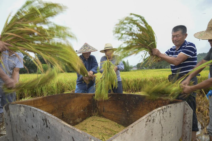 （中安在线 提供）