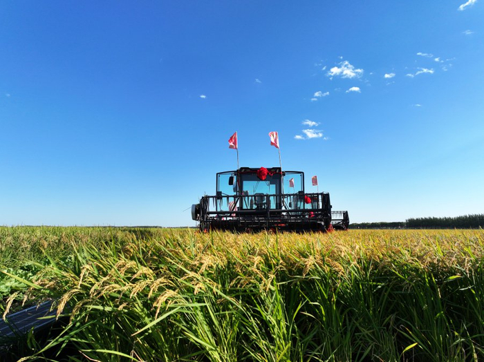 （摄影：许春娟 李伟华 魏秀杰）