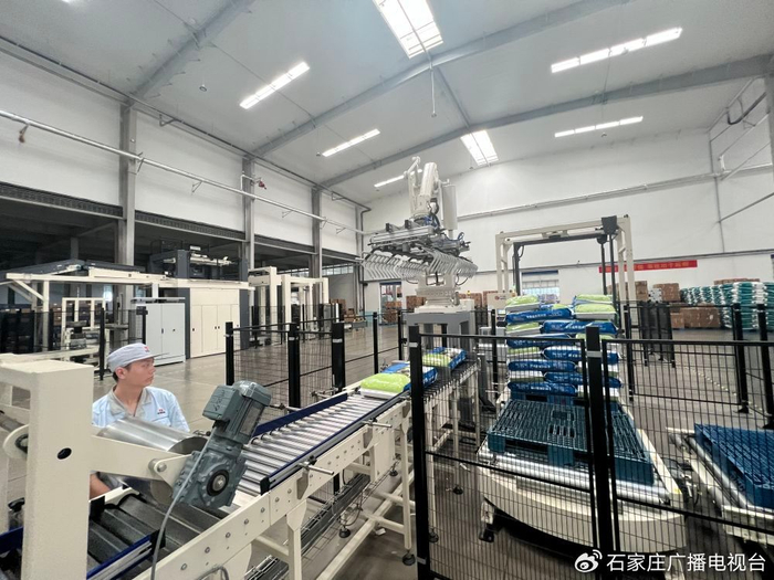   在荣喜宠物食品有限公司，机械臂进行成品码垛。新华社记者岳文婷 摄