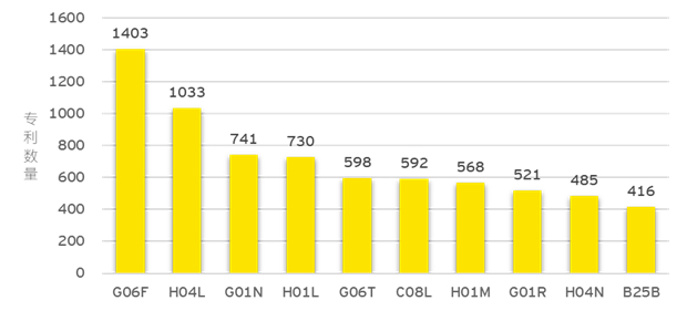 图 11 专利数量排名前十的专利IPC子类