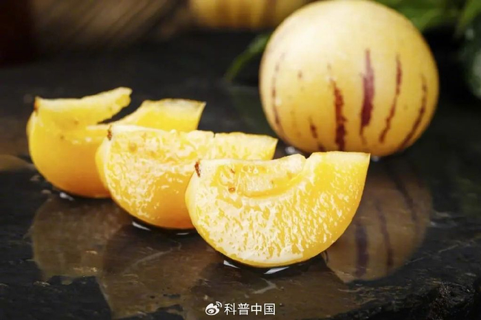 图库版权图片，转载使用可能引发版权纠纷