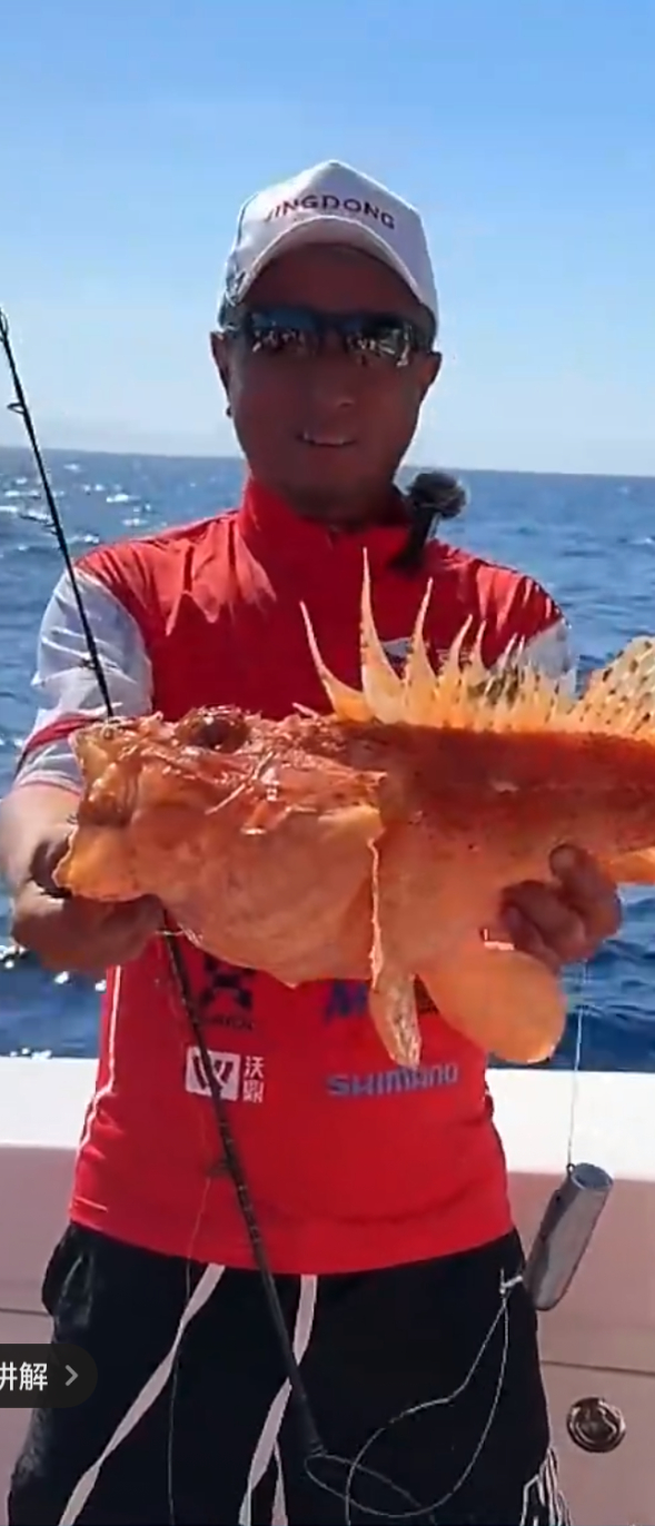 ▲海钓直播的部分渔获