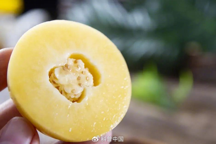 图库版权图片，转载使用可能引发版权纠纷