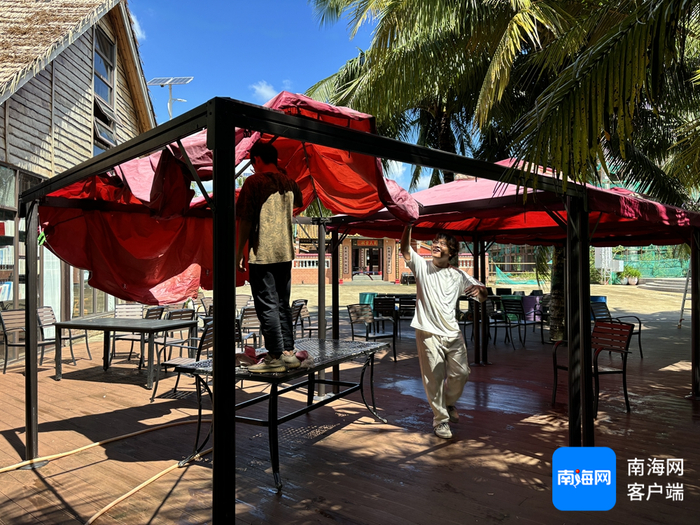 文昌市重兴斑兰农庄灾后重建恢复。记者 吴岳文 摄