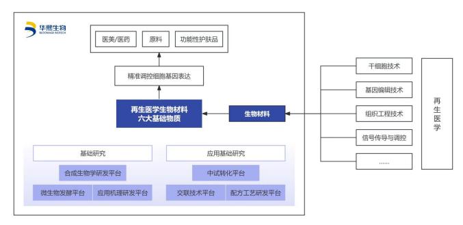 华熙生物再生医学业务模式