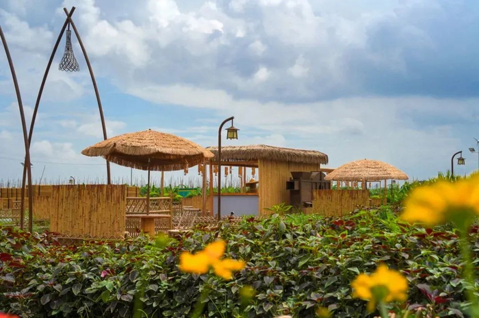 △鼎湖区融媒体中心记者 严钰滢 摄