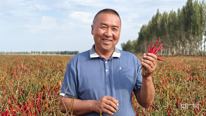 种植户脸上洋溢着丰收的喜悦  （央广网记者郭璁悦  摄）