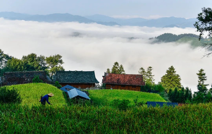 如果说住两层的木头房子，那可能是贵州山区那些少数民族地区 / 新华社记者杨文斌 摄