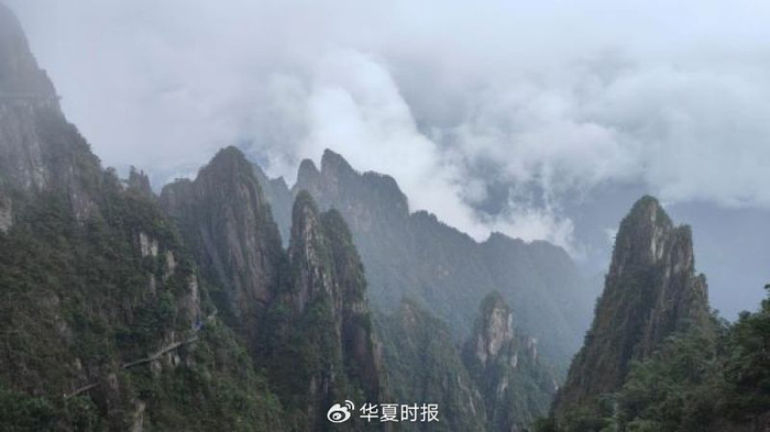 郴州莽山景区 王敬/摄