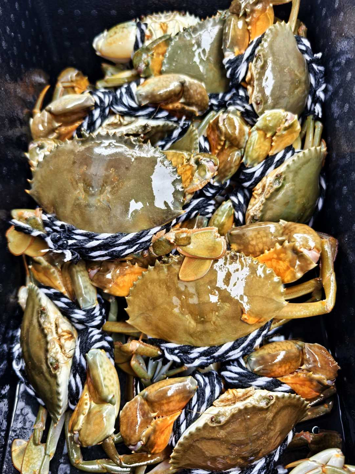 资料图片。（记者提供）