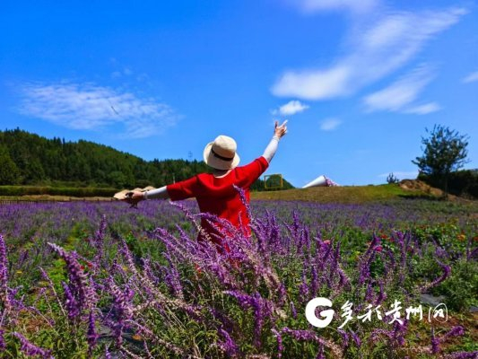 “银发族”美在旅途