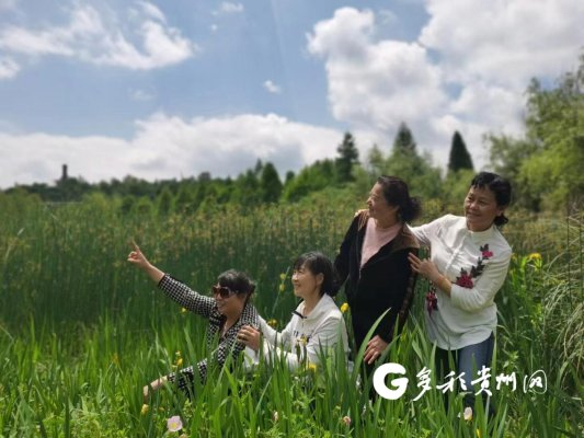 老年朋友畅游在贵州山水之间