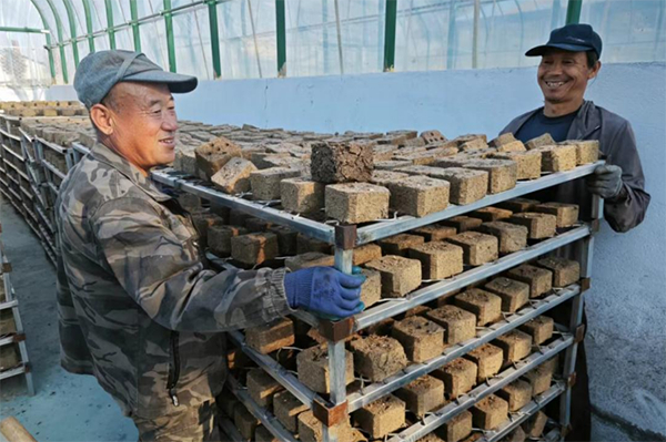 生物质蜂窝压块燃料。