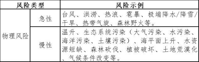 资料来源：根据公开资料整理。