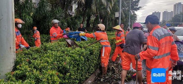 资料图：环卫工人在丘海大道清理灾后绿化垃圾。