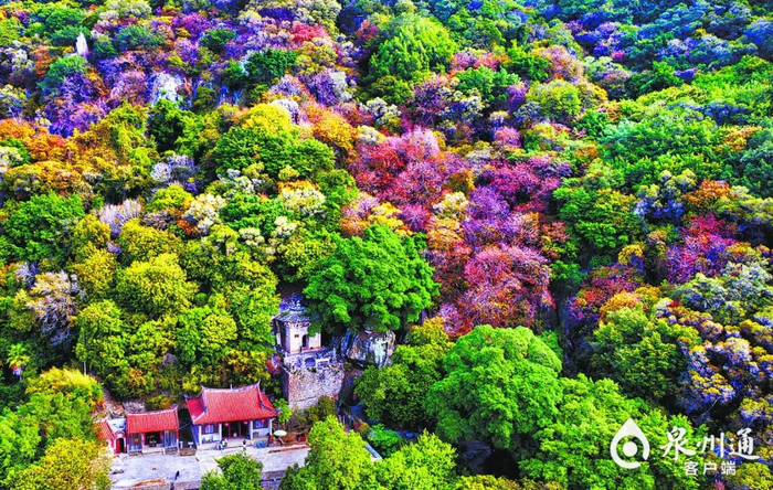 清源山秋色 （资料图片 陈英杰/摄）